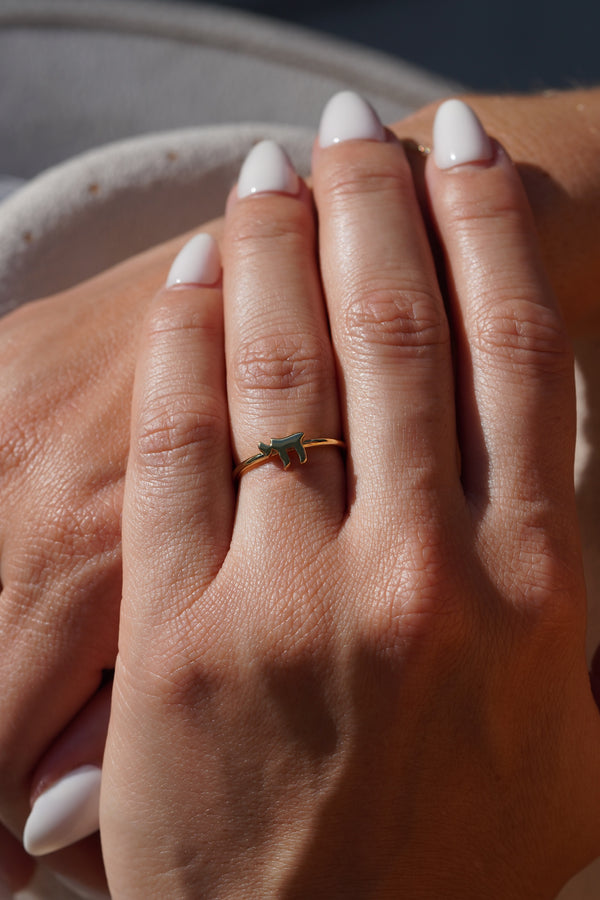 Chai Harmony Ring